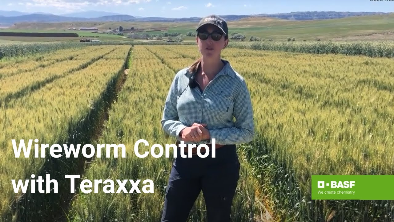 Understanding the Reddy Anna ID: Features, Benefits, and Its Impact on the Reddy Book Club Community